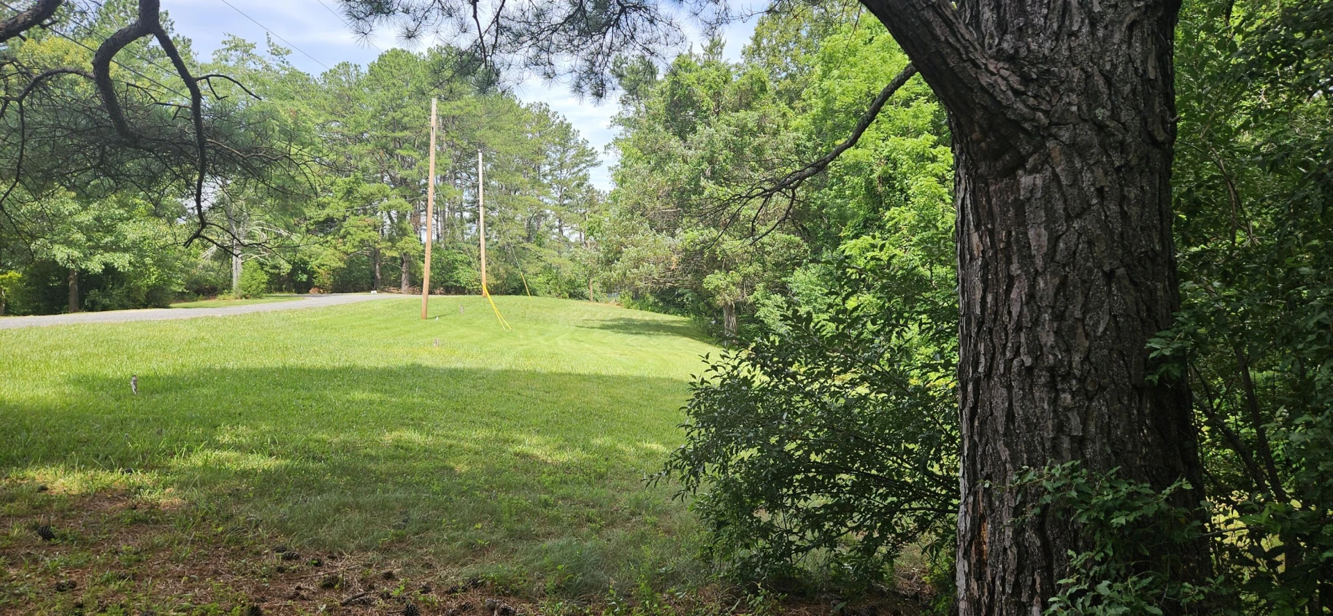Lot 31-35 Lakeland Pine DR - Photo 13