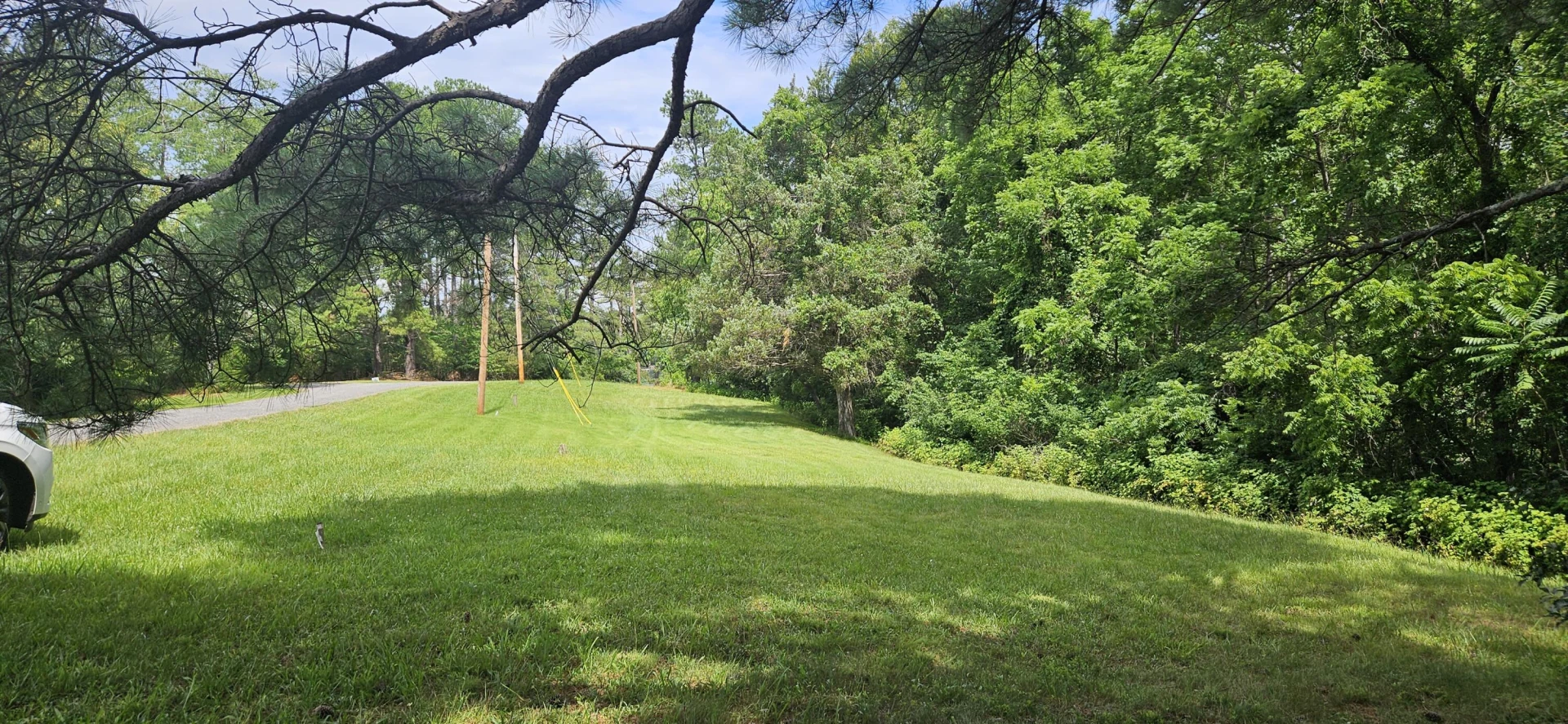 Lot 31-35 Lakeland Pine DR - Photo 15