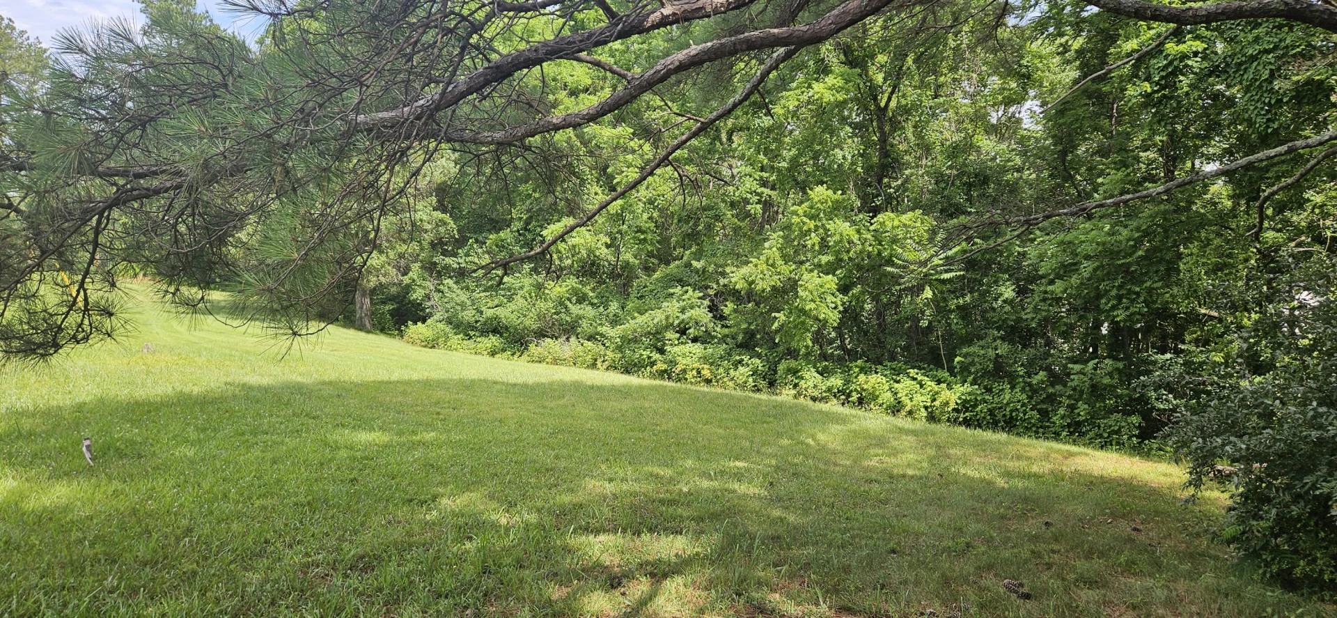 Lot 31-35 Lakeland Pine DR - Photo 16