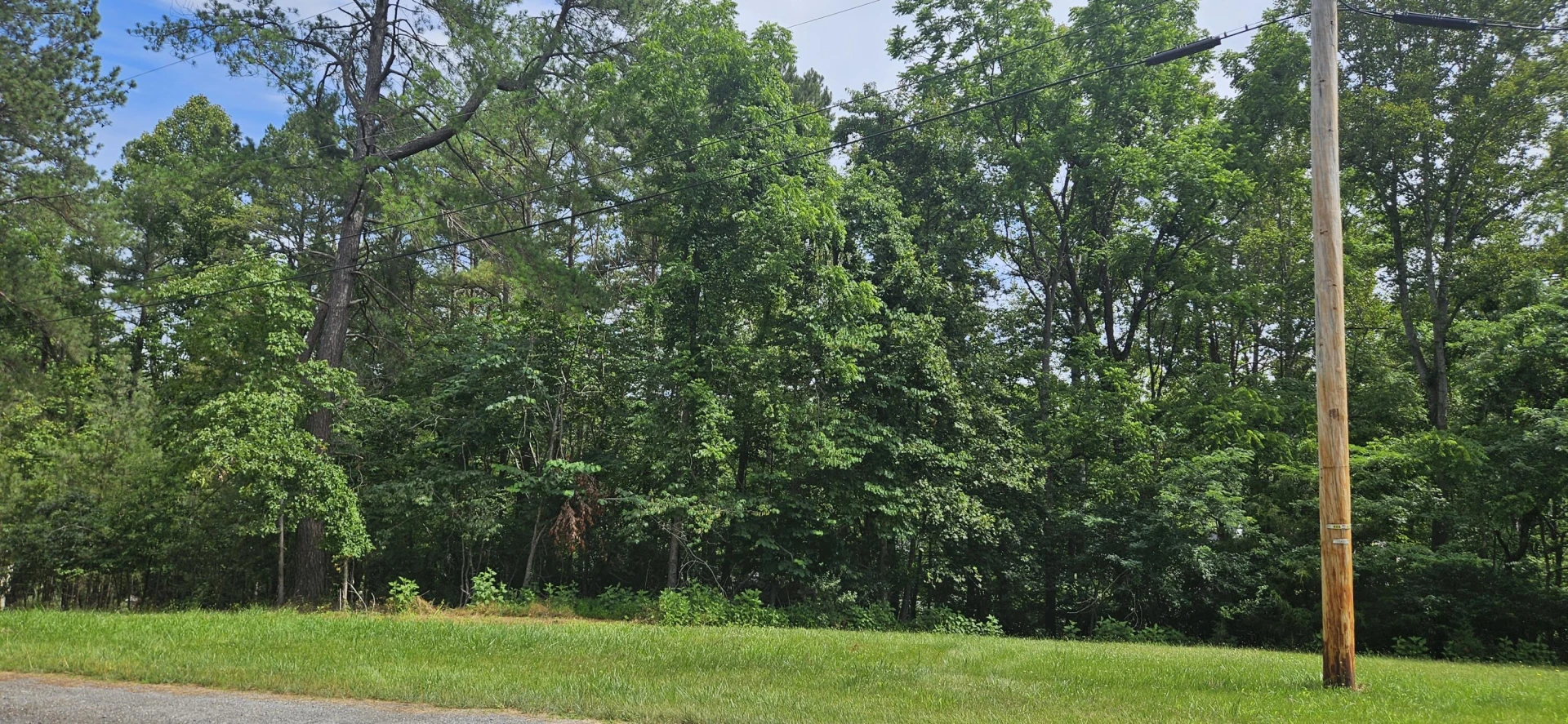 Lot 31-35 Lakeland Pine DR - Photo 17