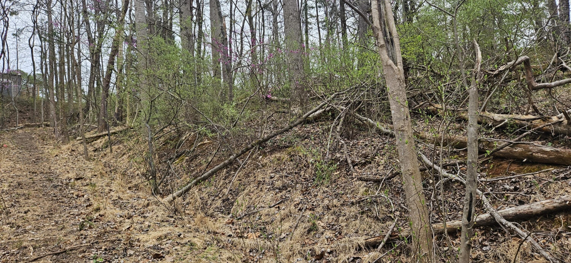 Lot 31-35 Lakeland Pine DR - Photo 18