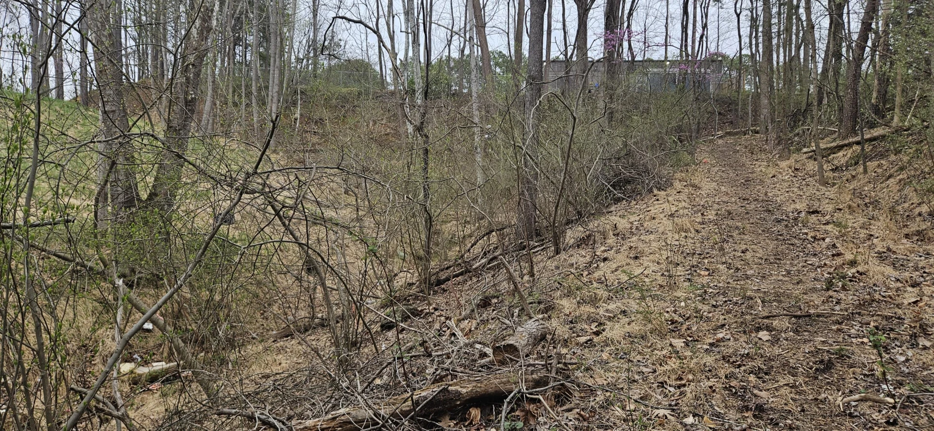 Lot 31-35 Lakeland Pine DR - Photo 19