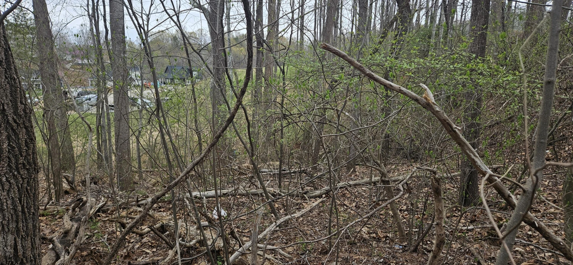 Lot 31-35 Lakeland Pine DR - Photo 20