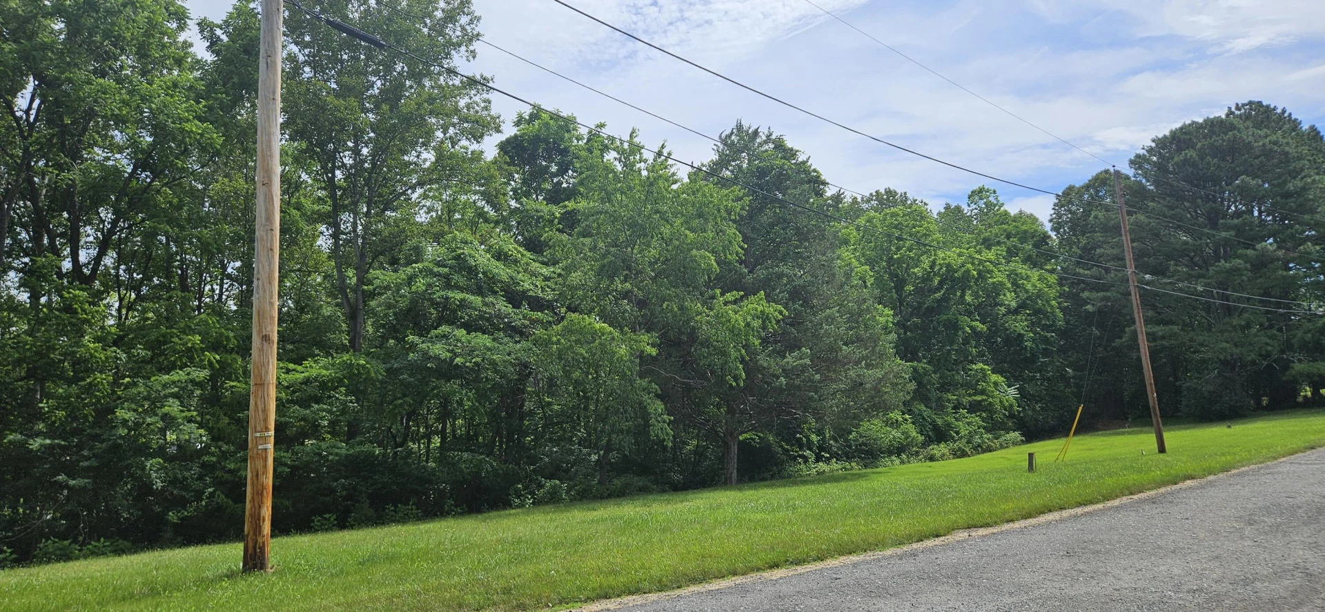 Lot 31-35 Lakeland Pine DR - Photo 4