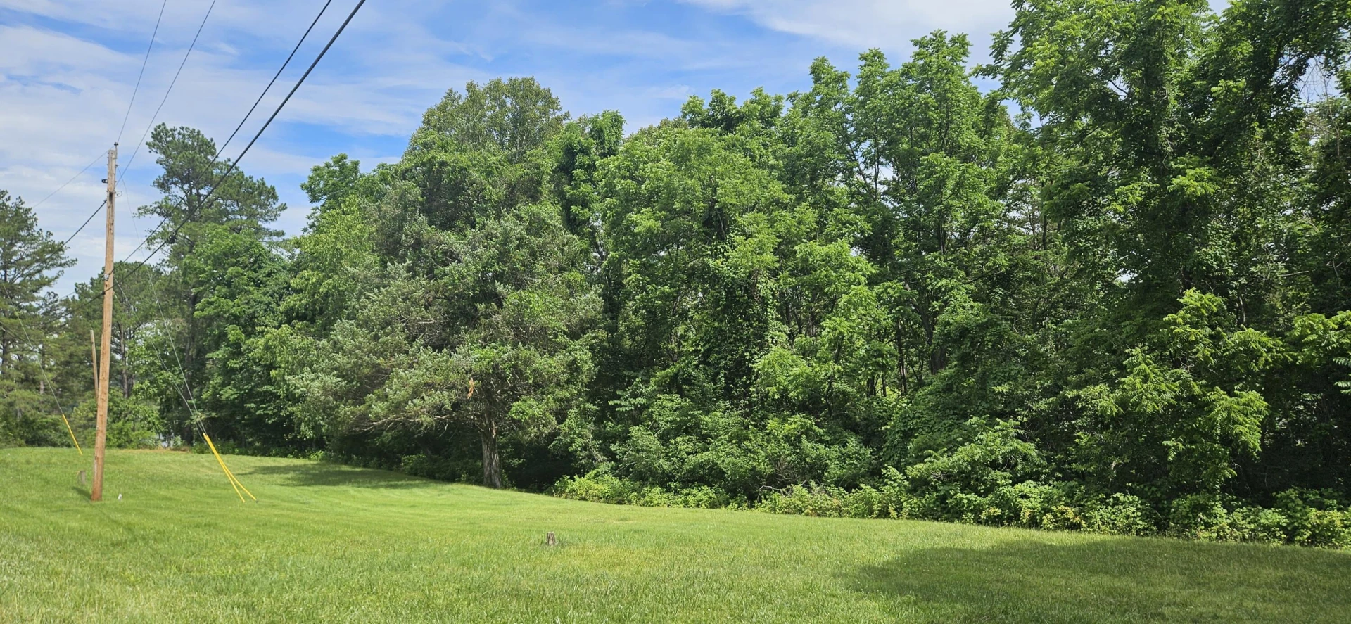 Lot 31-35 Lakeland Pine DR - Photo 5