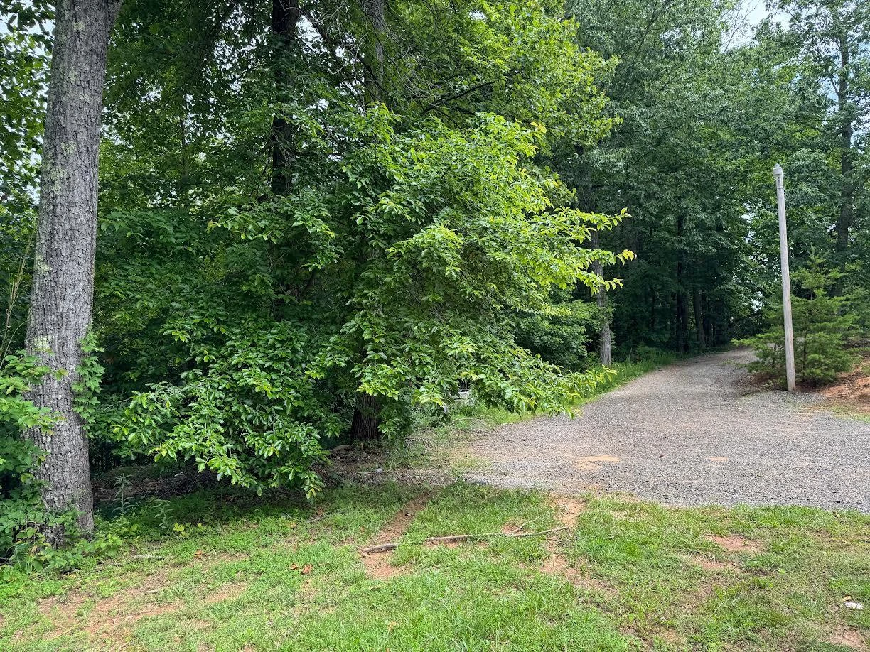 174 Log Cabin CIR - Photo 18