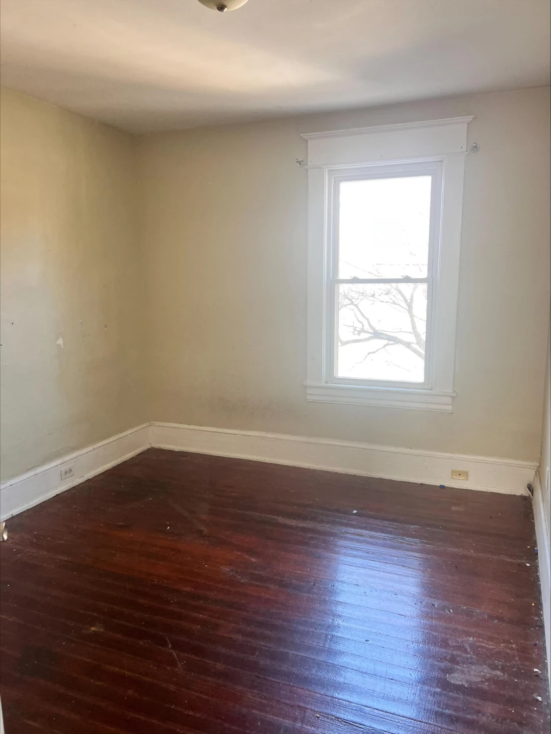 906 5th ST - Photo 6
