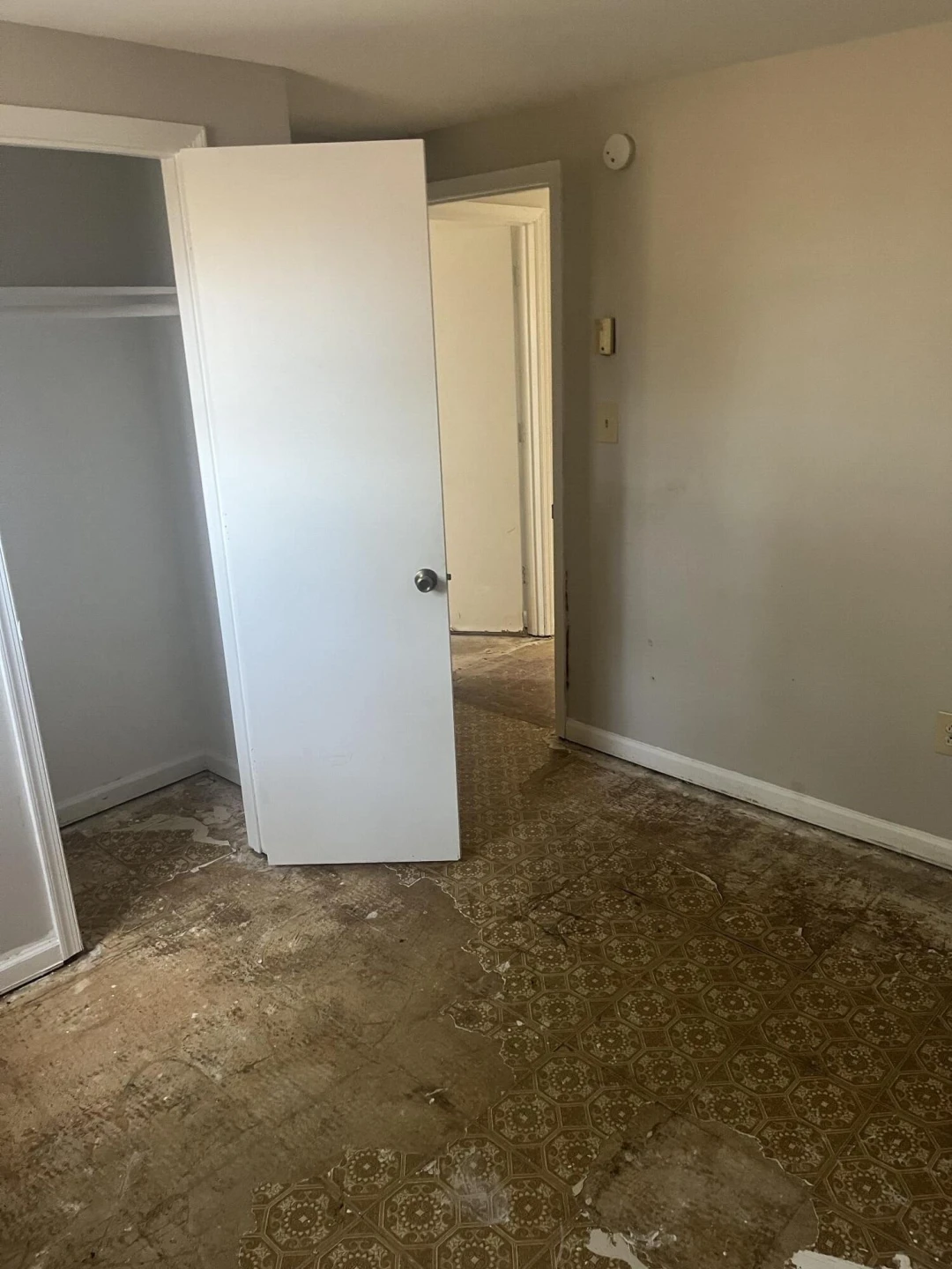 1701 Mayfield DR - Photo 4