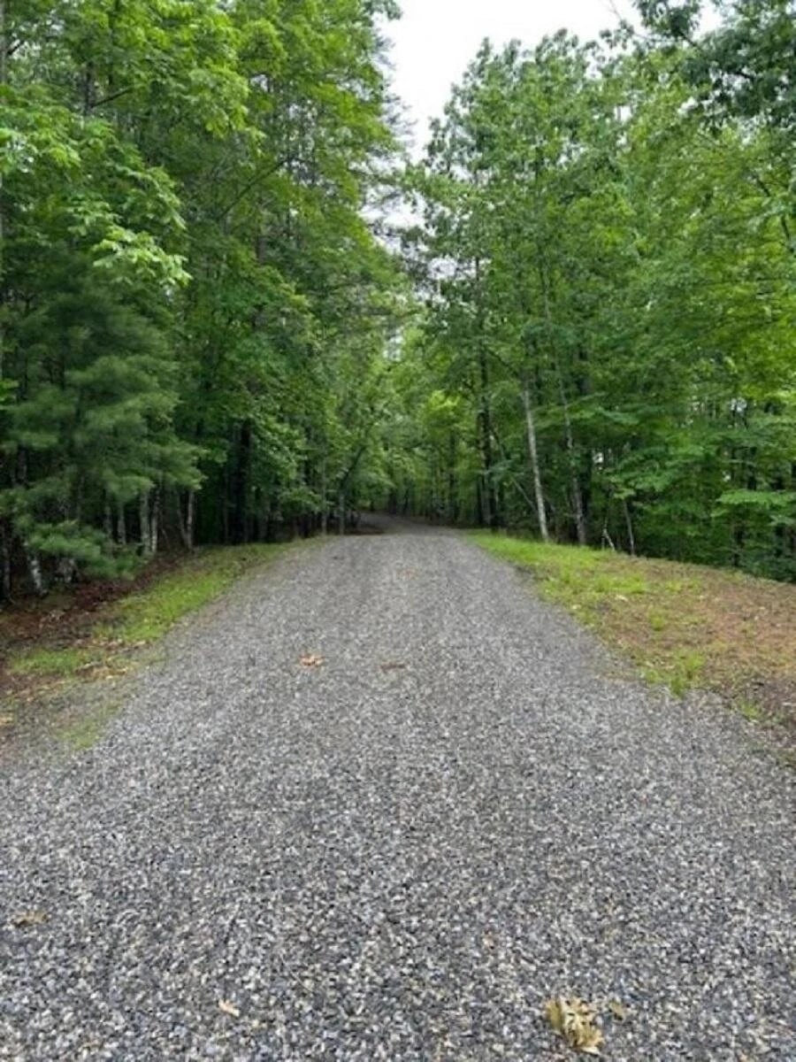 350 Sizer LN - Photo 4