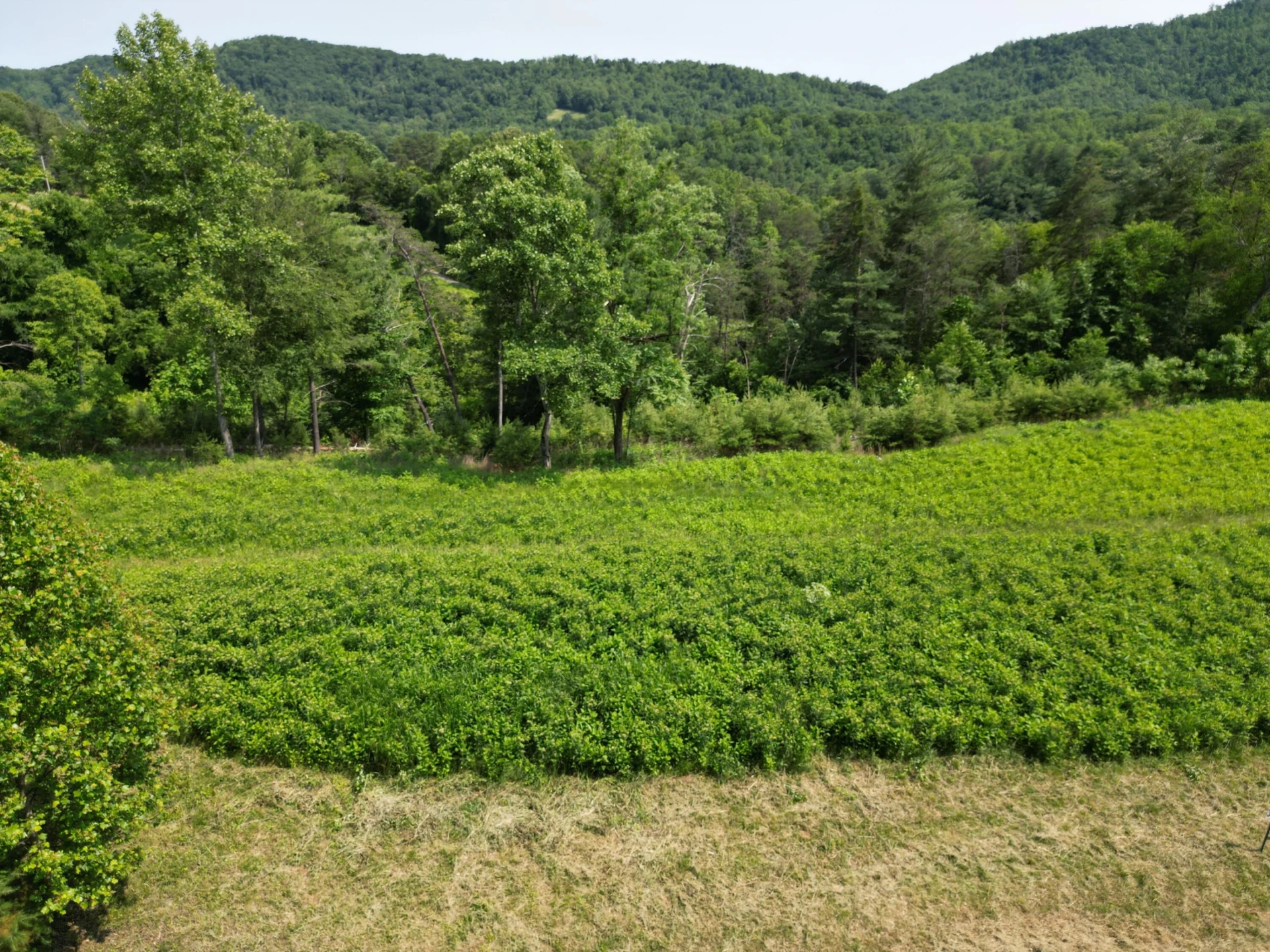Lot 31-35 River Rock RD