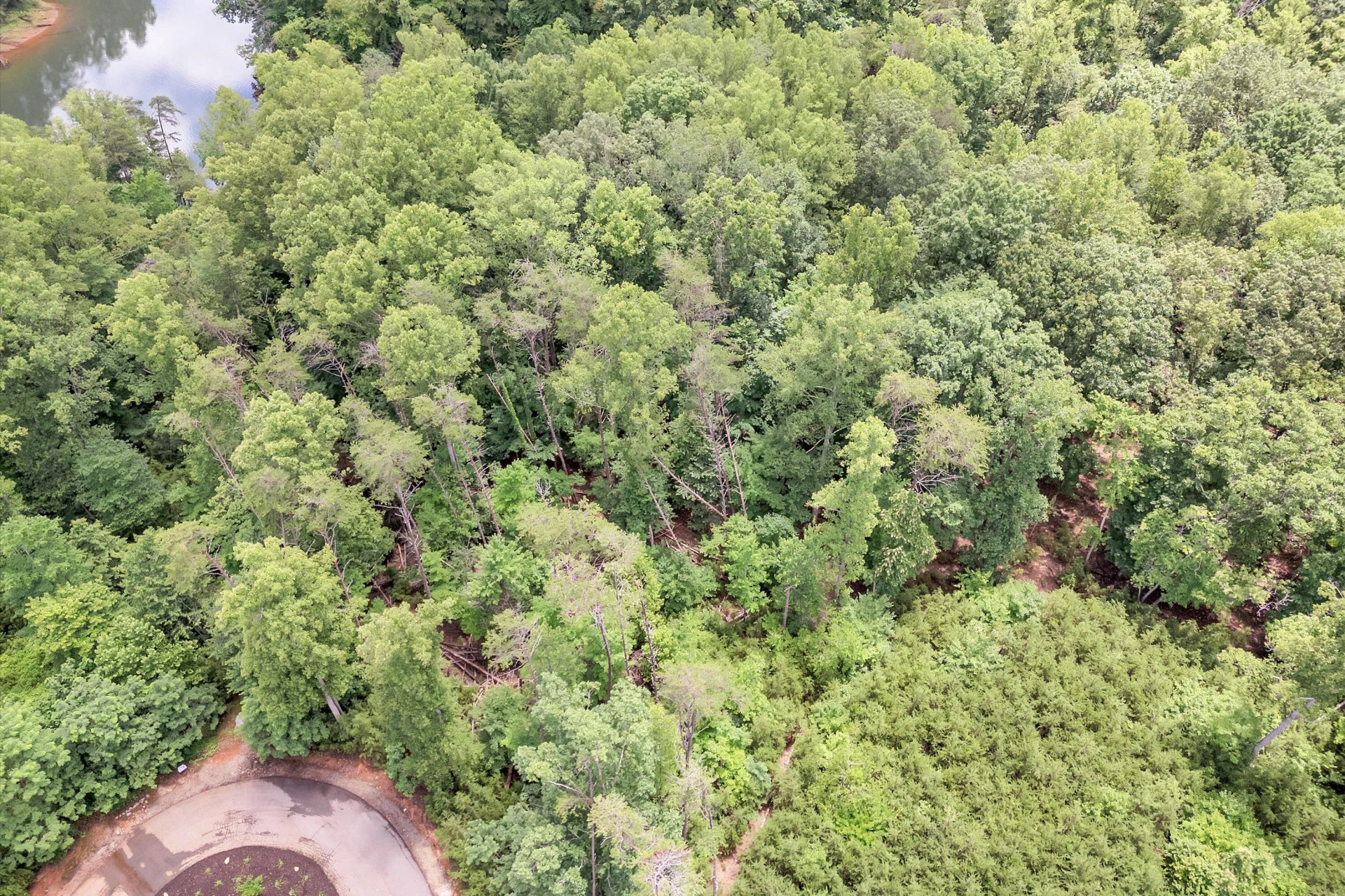 Lot 170 Talon Ridge RD - Photo 12