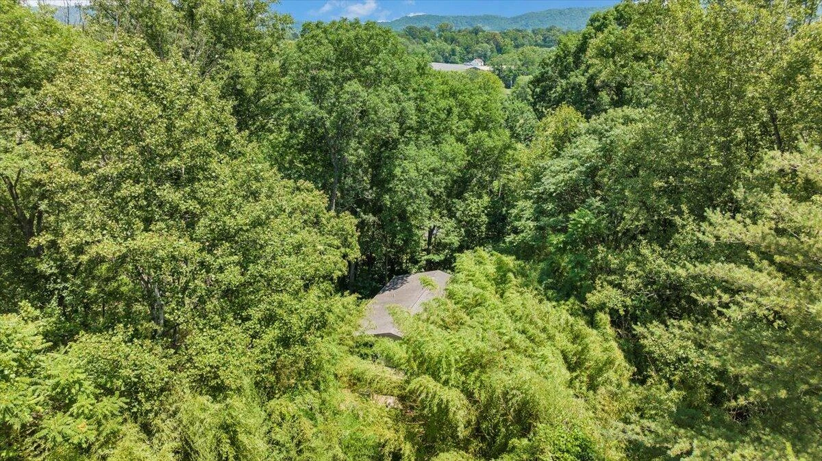 206 Hunters TRL - Photo 29