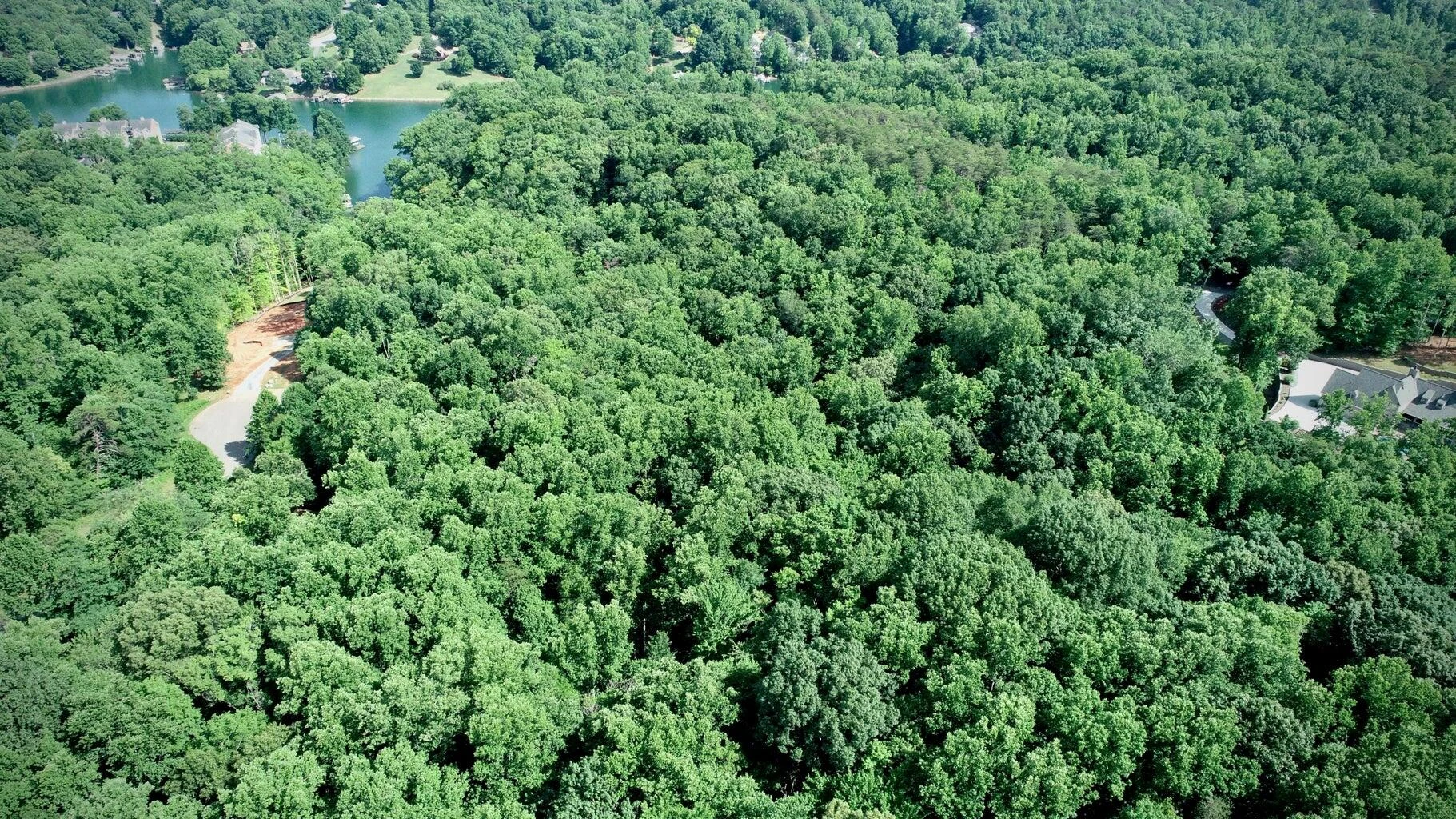 Lot 8 Southwind DR - Photo 11