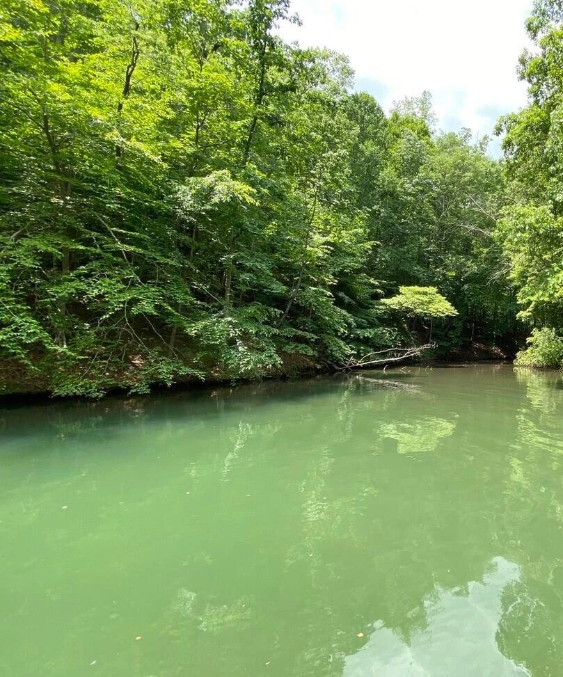 Lot 8 Southwind DR - Photo 15