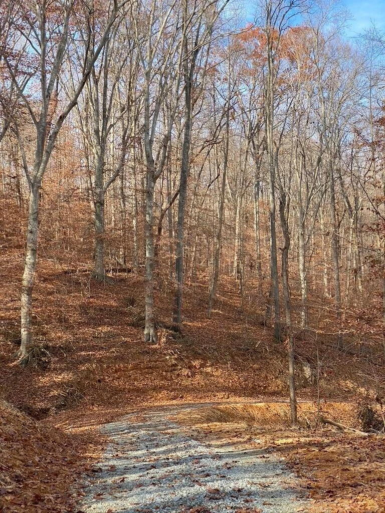 Lot 8 Southwind DR - Photo 19