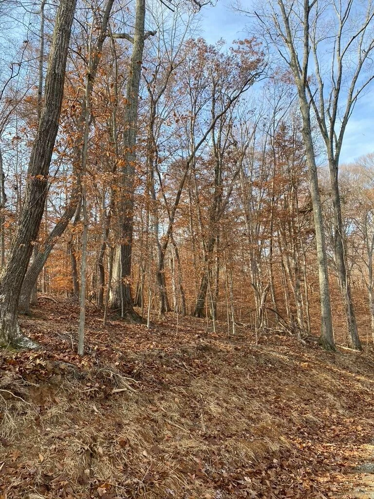 Lot 8 Southwind DR - Photo 21