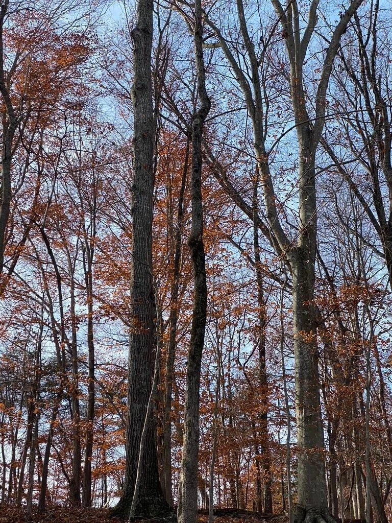Lot 8 Southwind DR - Photo 22