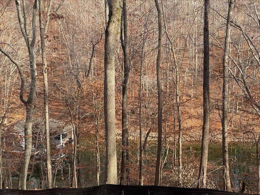 Lot 8 Southwind DR - Photo 23