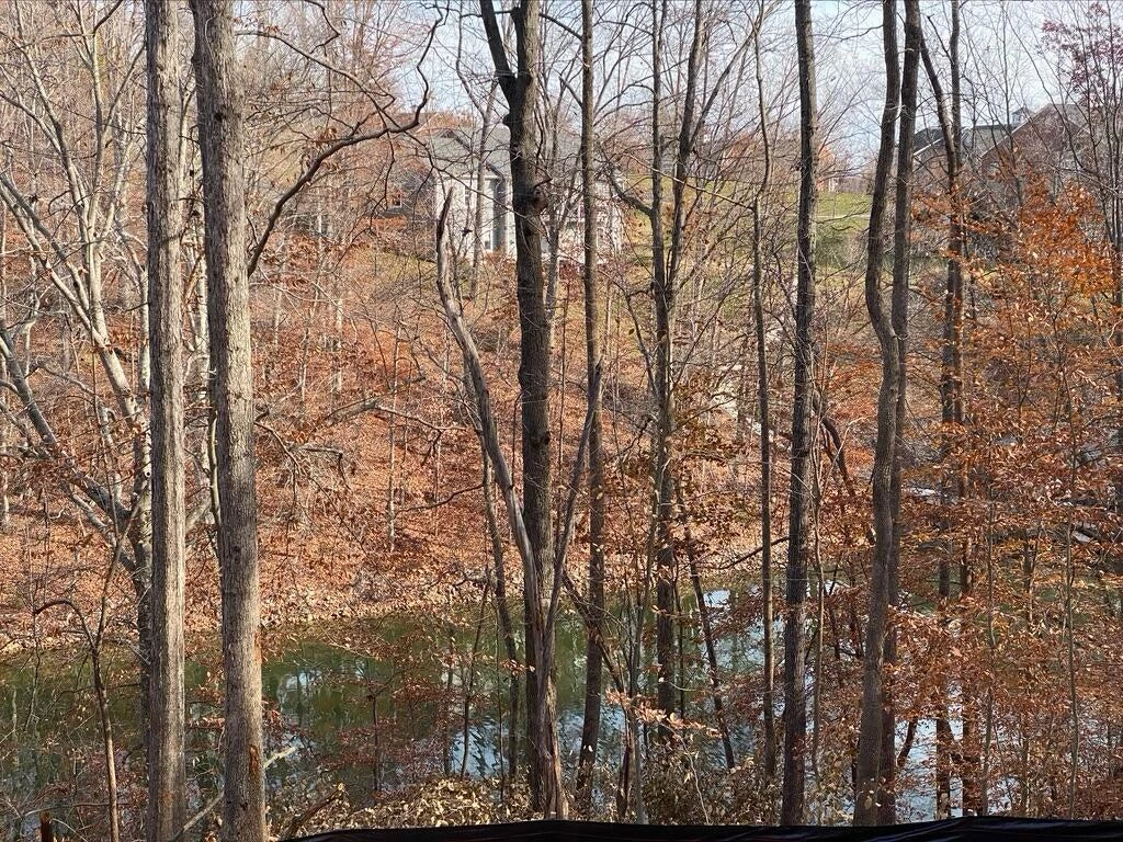 Lot 8 Southwind DR - Photo 24