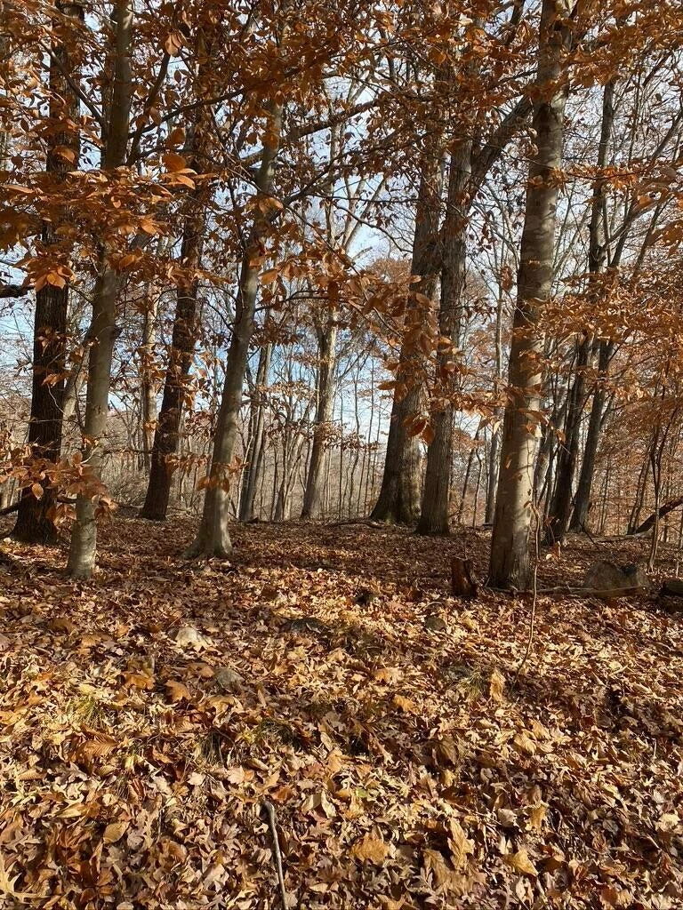 Lot 8 Southwind DR - Photo 27