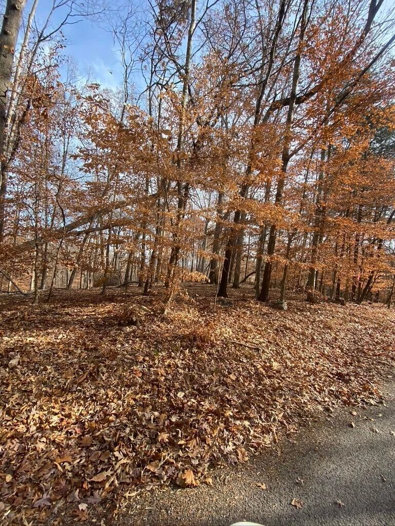 Lot 8 Southwind DR - Photo 28