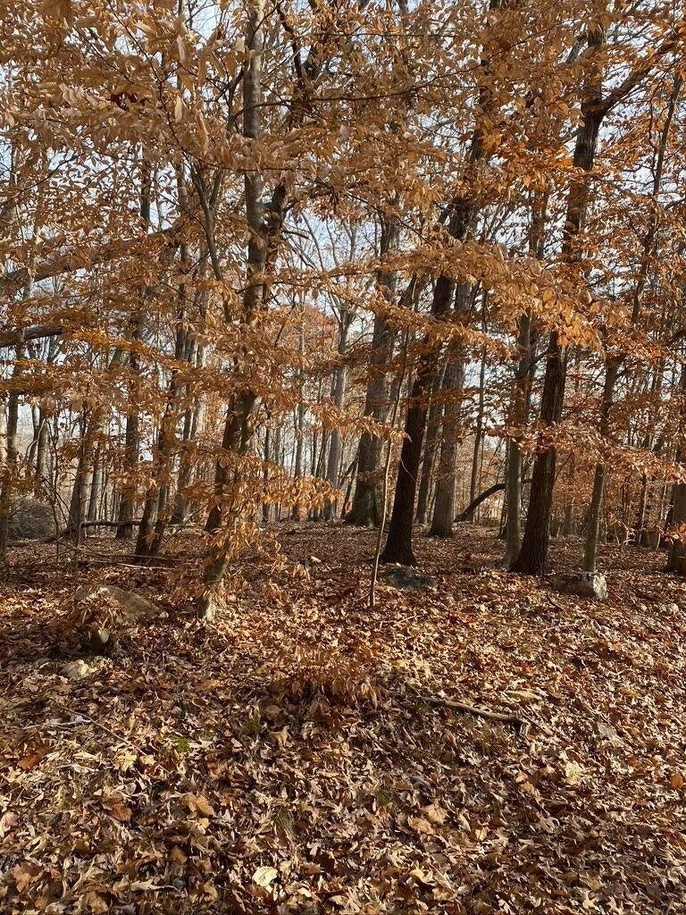 Lot 8 Southwind DR - Photo 29