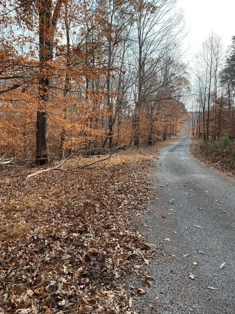 Lot 8 Southwind DR - Photo 30