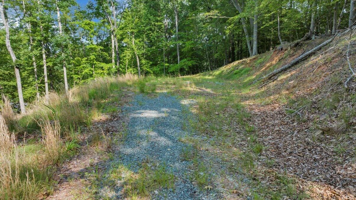 Lot 1 Windlass RD - Photo 11
