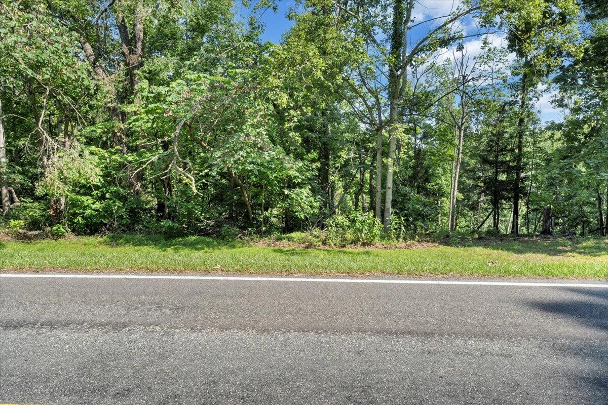 Lot 1 Windlass RD - Photo 54