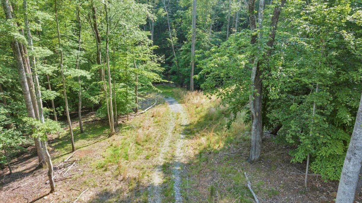 Lot 1 Windlass RD - Photo 6