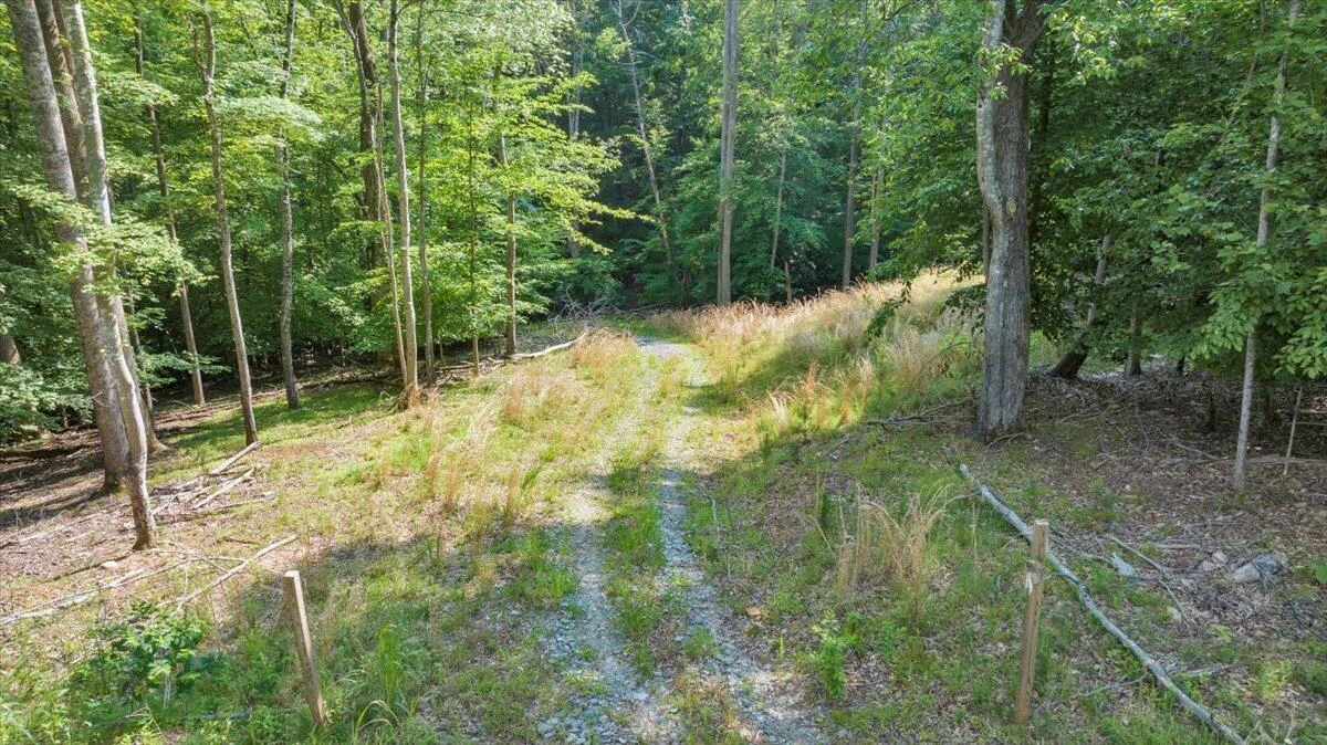 Lot 1 Windlass RD - Photo 7