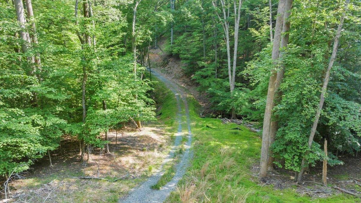 Lot 1 Windlass RD - Photo 8