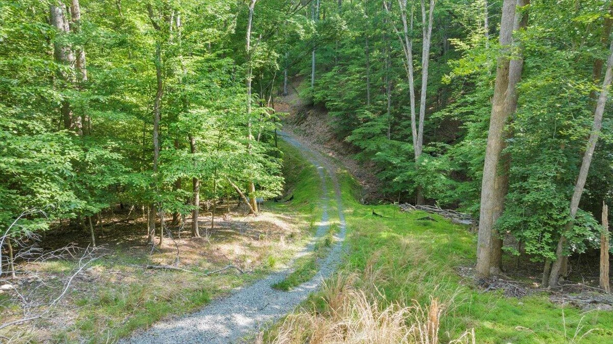 Lot 1 Windlass RD - Photo 9