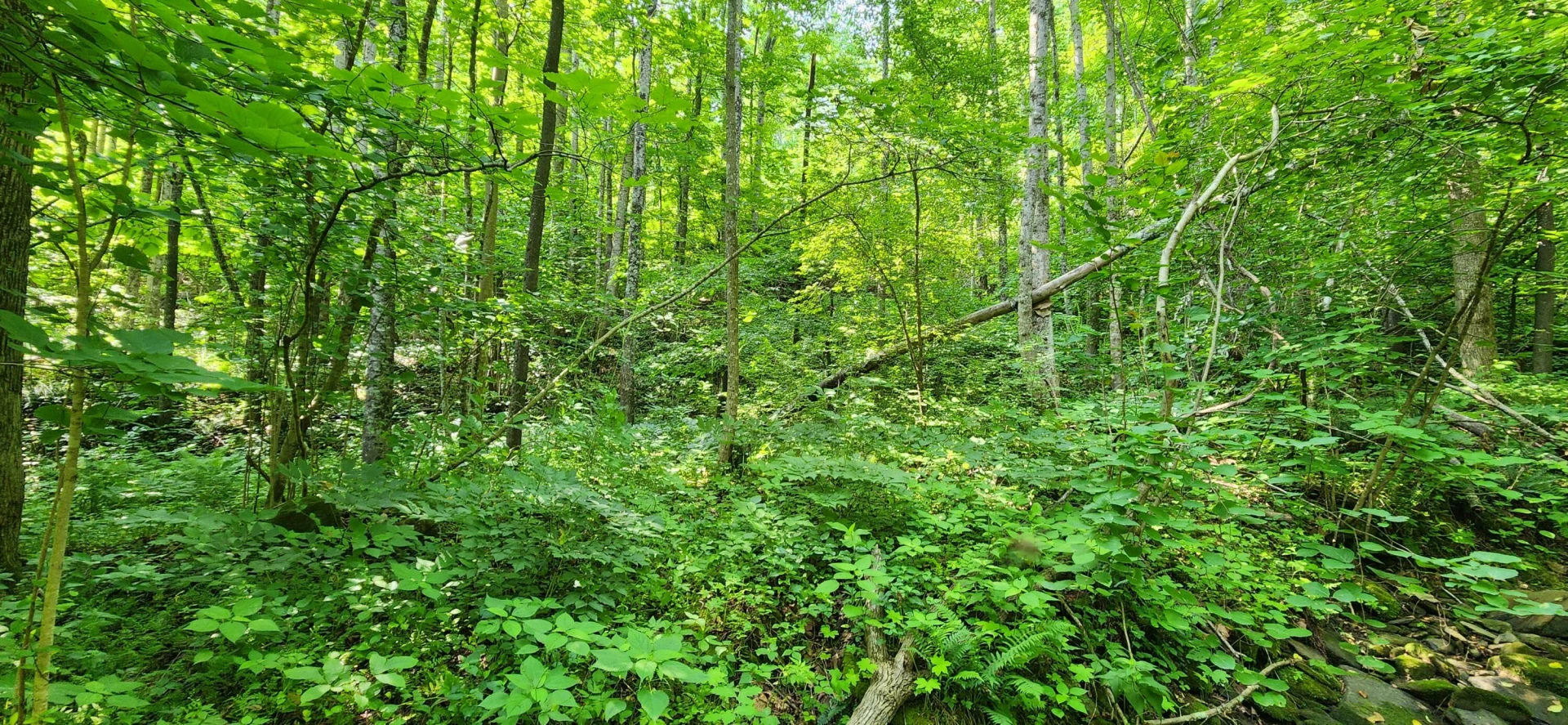 00 Runnett Bag RD - Photo 7