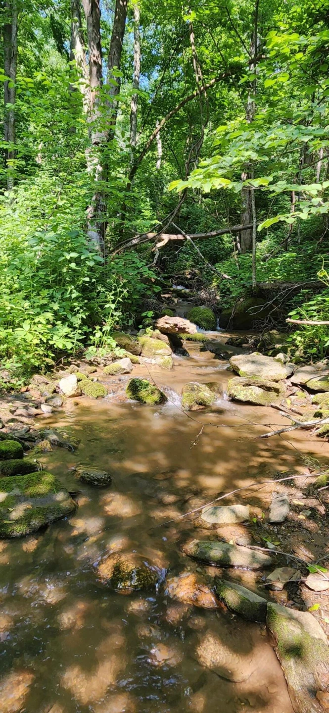 00 Runnett Bag RD - Photo 9