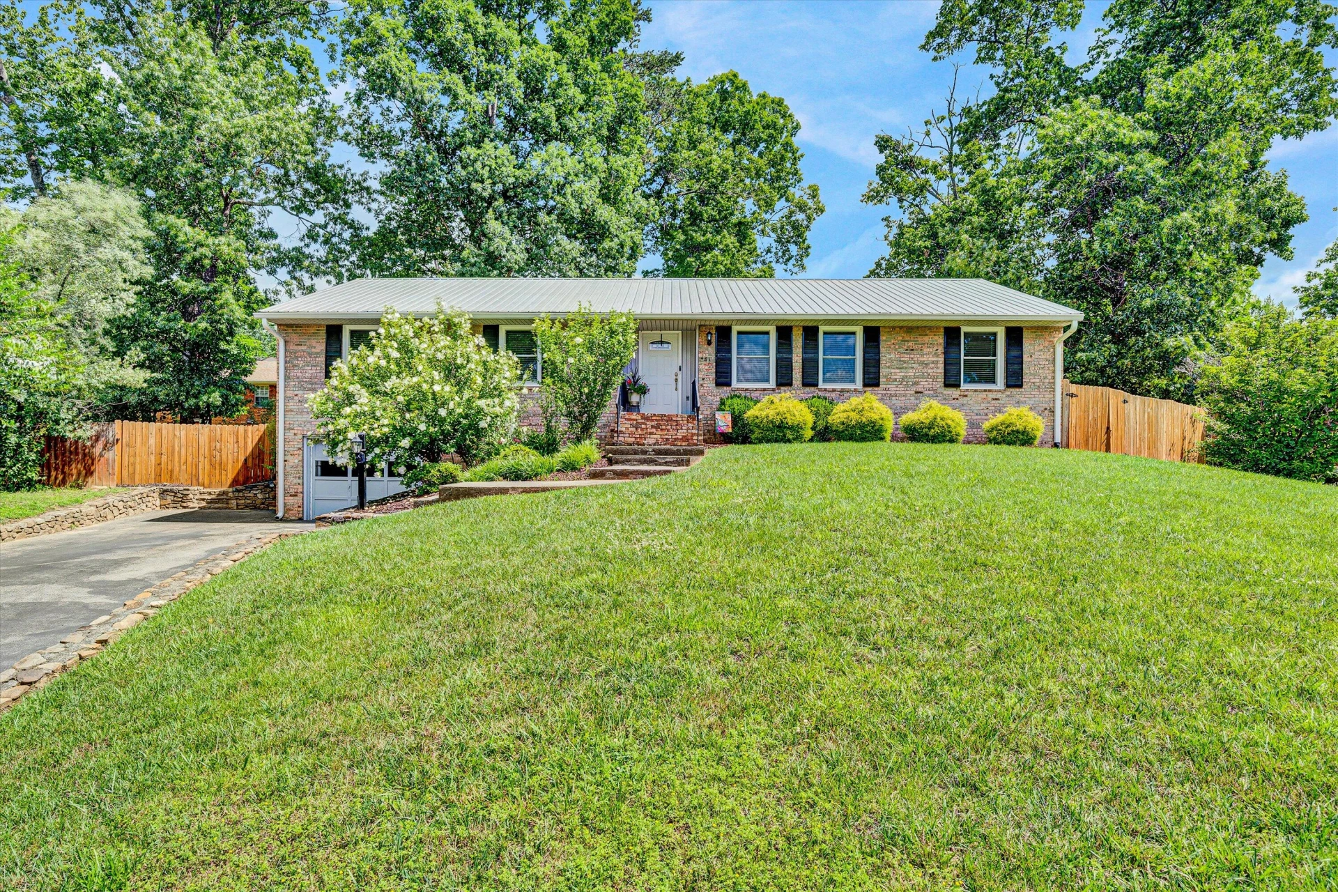 481 Dot CIR