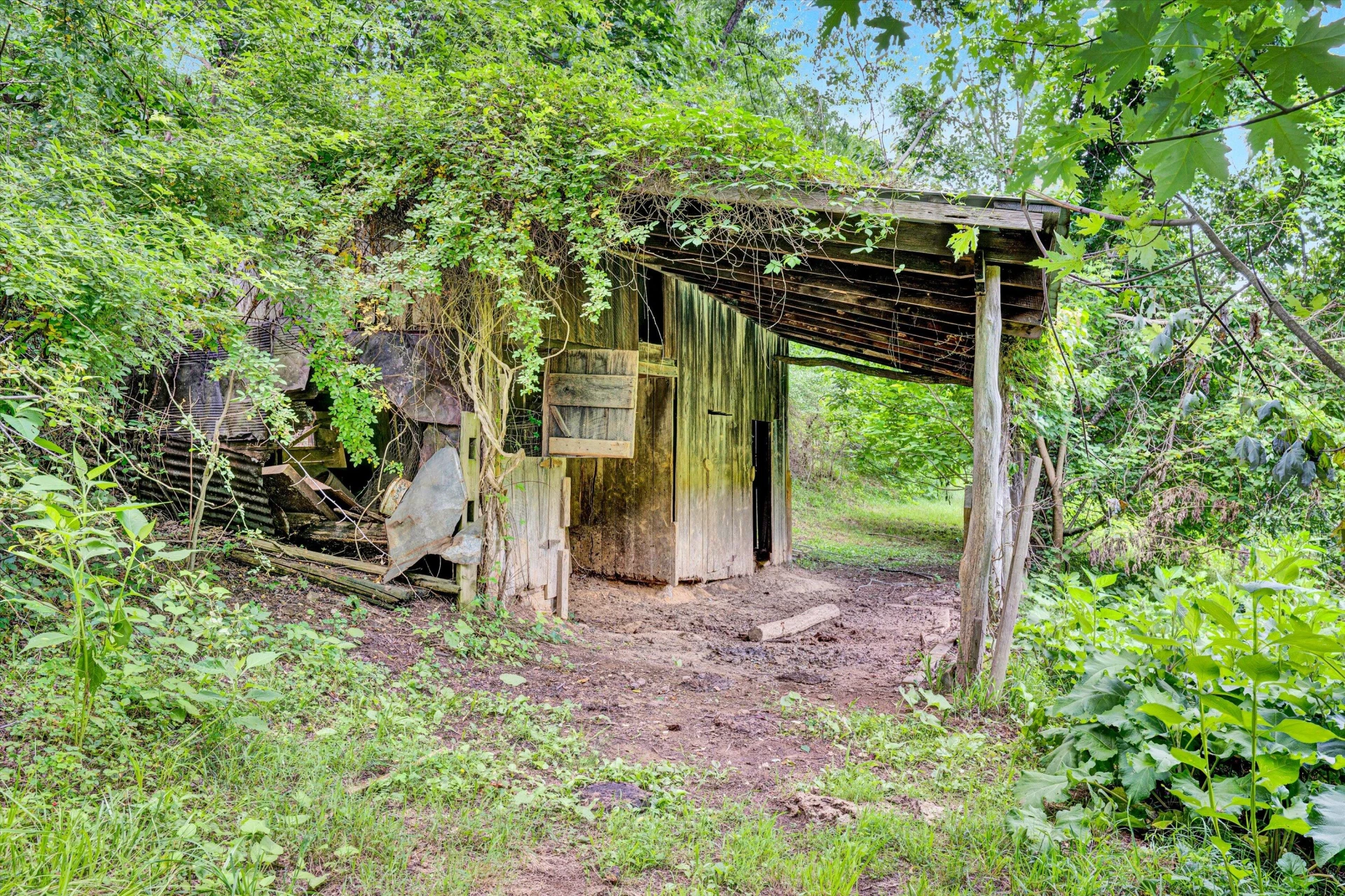 5951 Roanoke RD - Photo 35