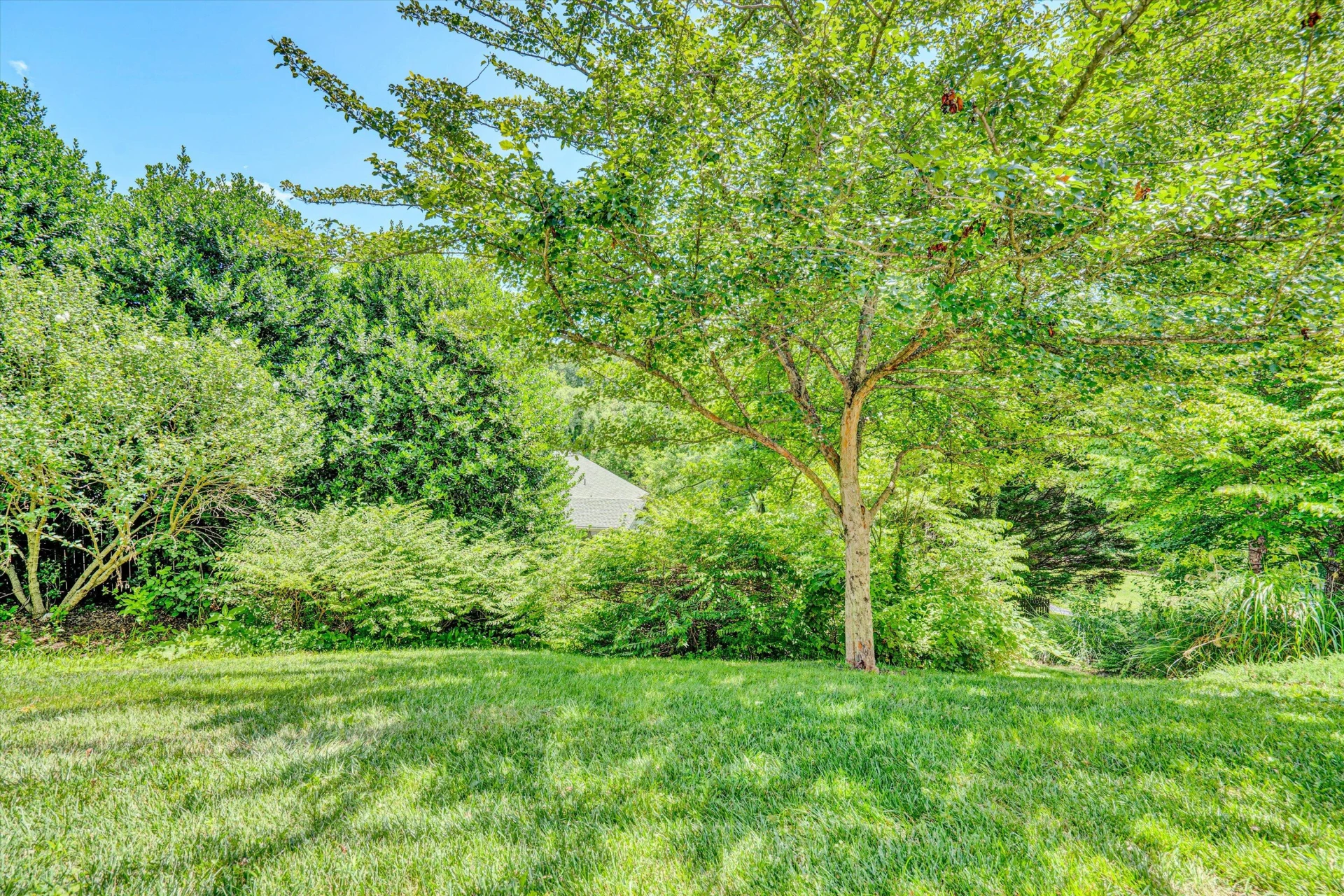 610 Crystal Anne LN - Photo 62