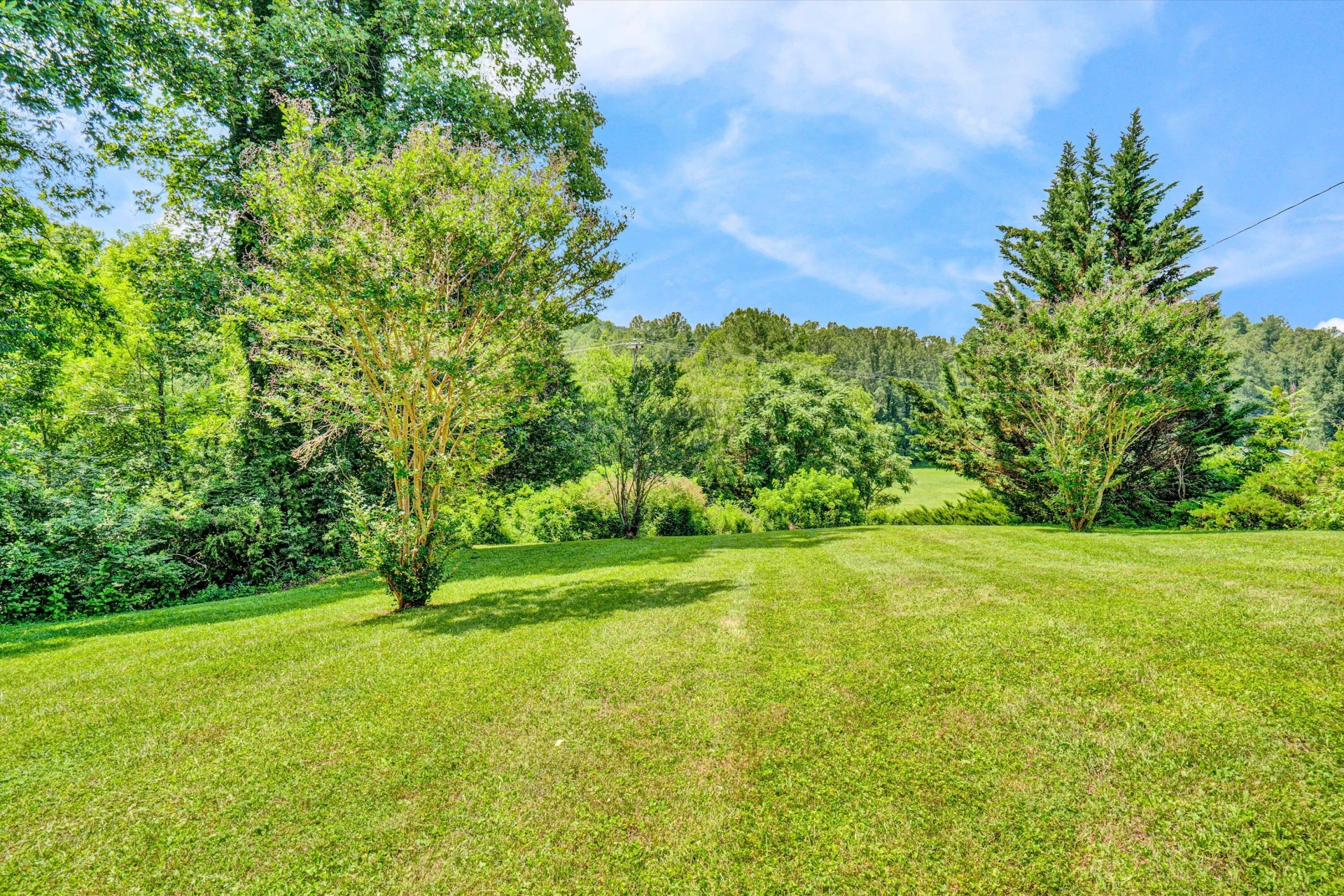 2025 Coles Creek RD - Photo 3