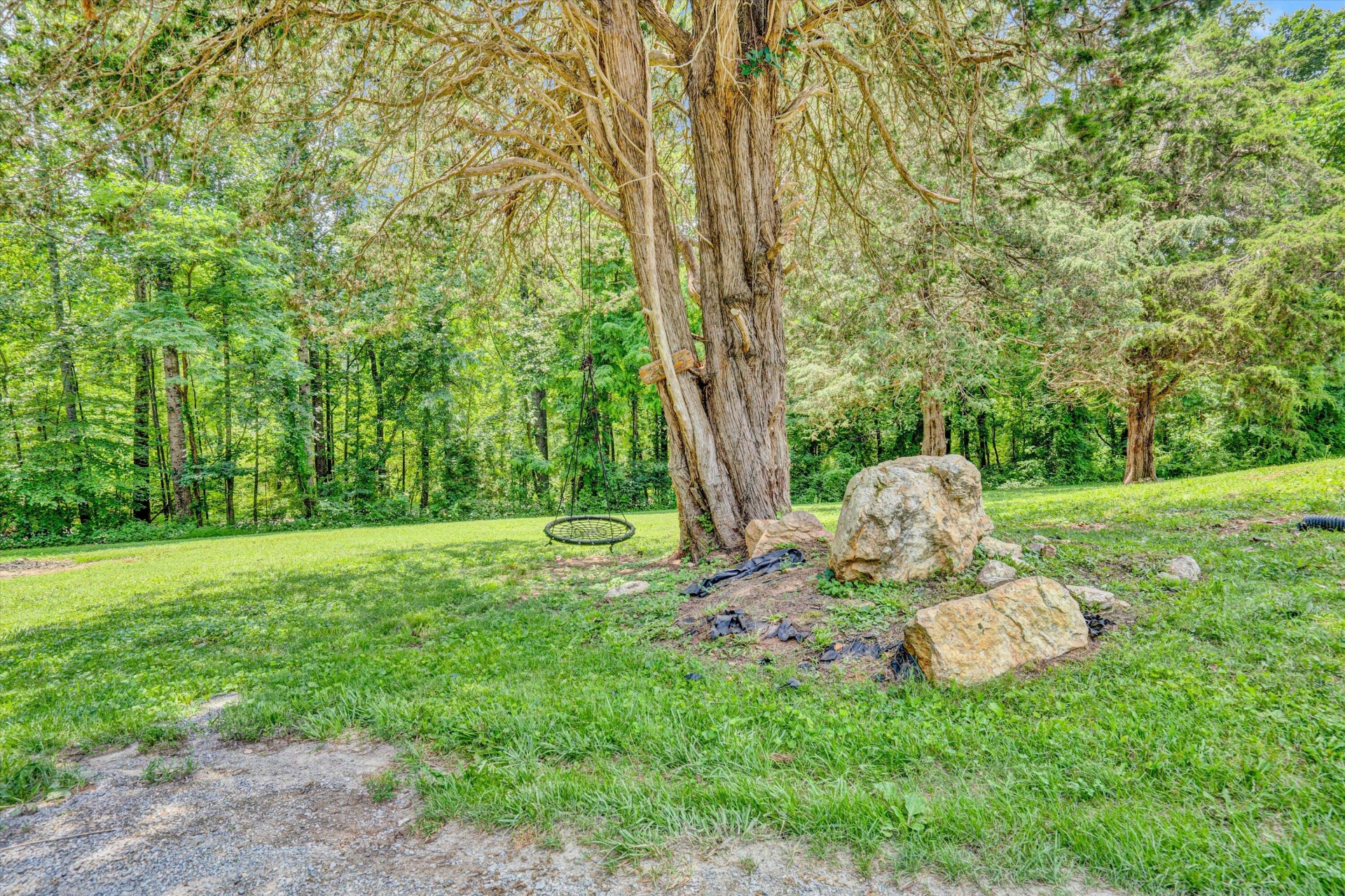 2025 Coles Creek RD - Photo 4