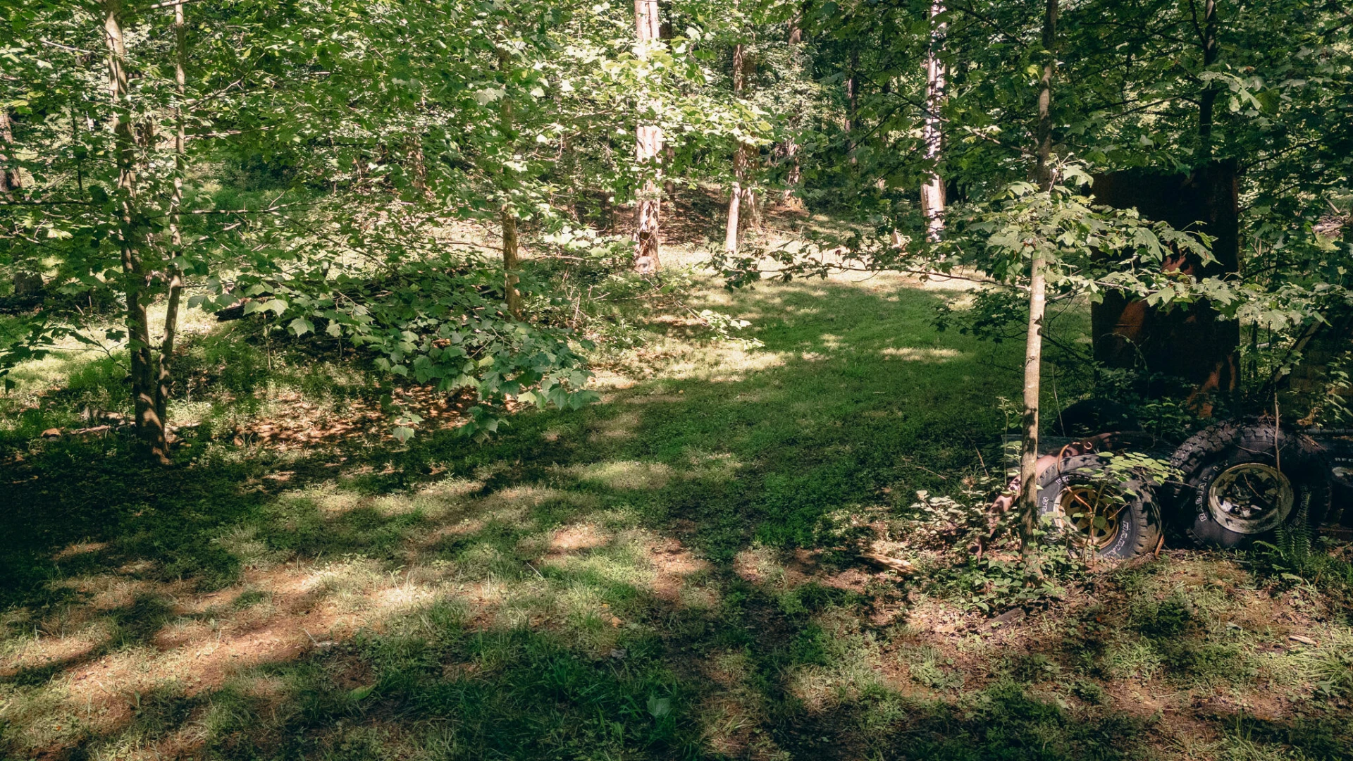 263 Morning Dove LN - Photo 40