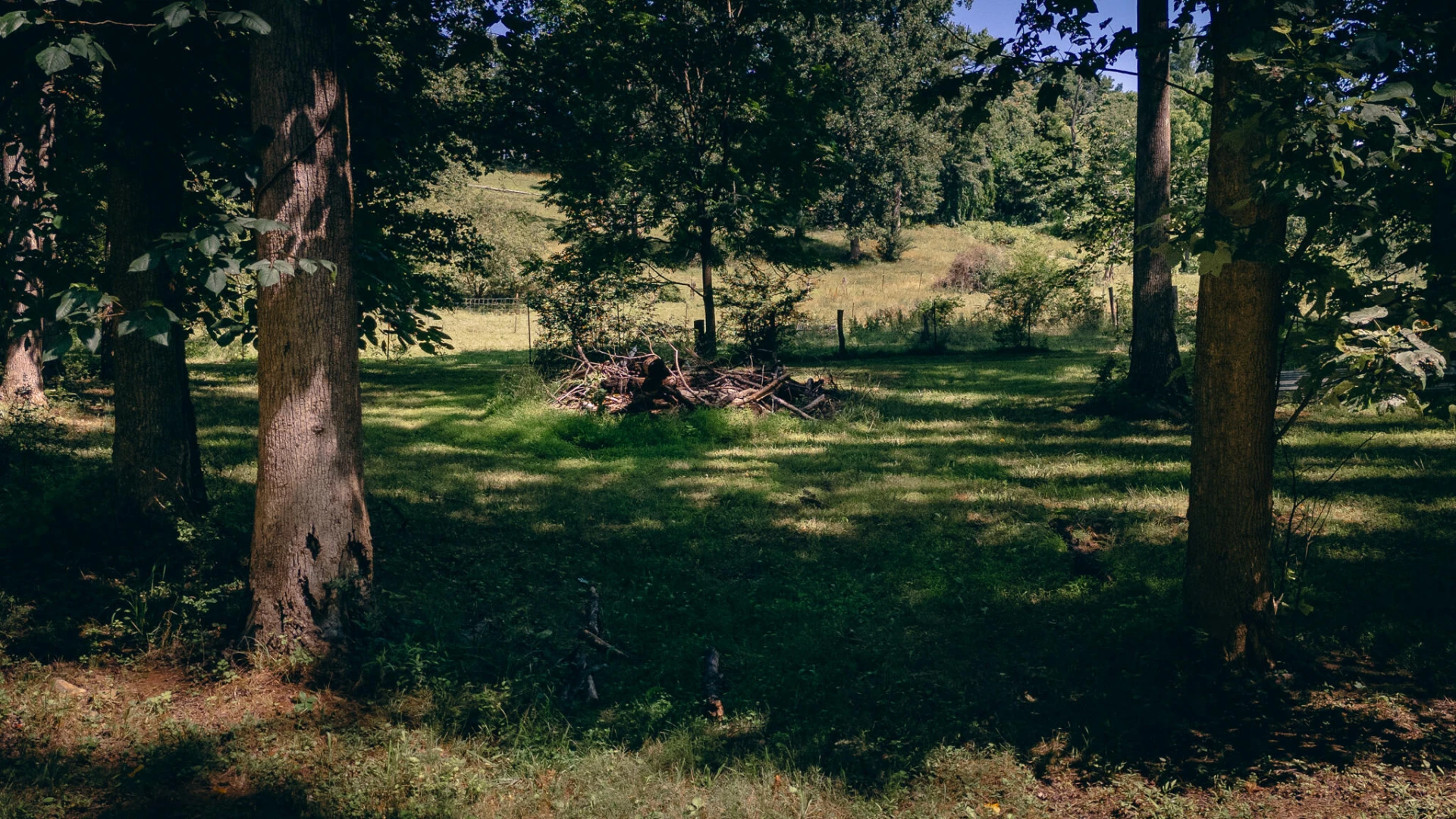 263 Morning Dove LN - Photo 41