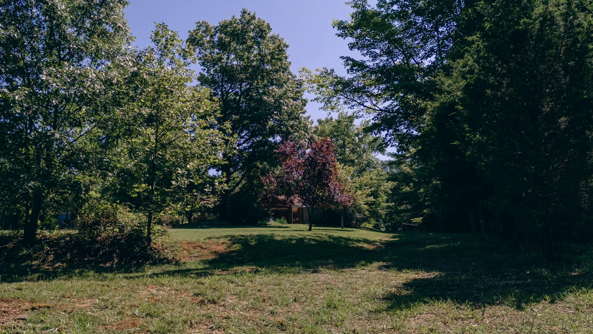 263 Morning Dove LN - Photo 42