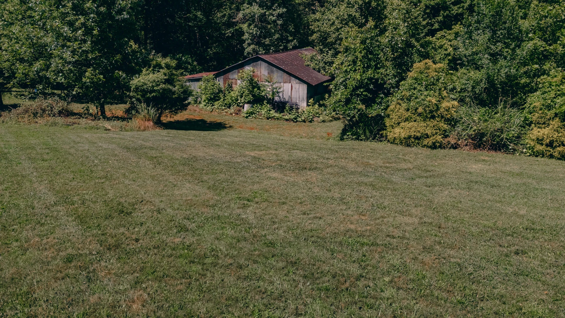 263 Morning Dove LN - Photo 49