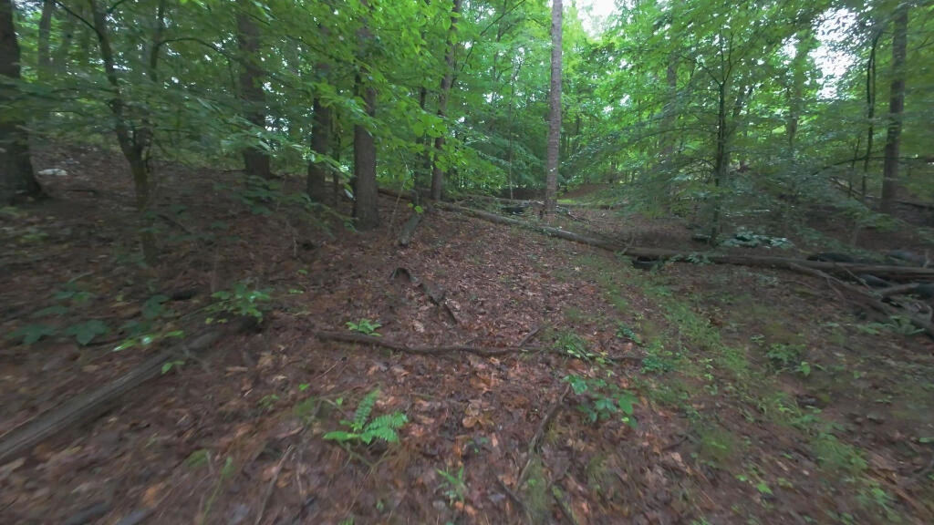 1334 Cameron RD - Photo 12