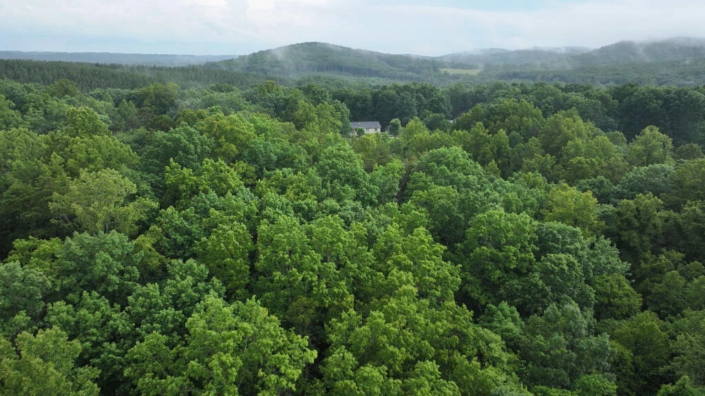 1334 Cameron RD - Photo 2