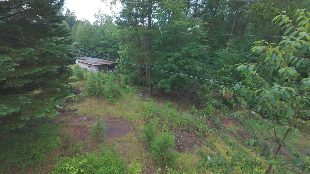1334 Cameron RD - Photo 9