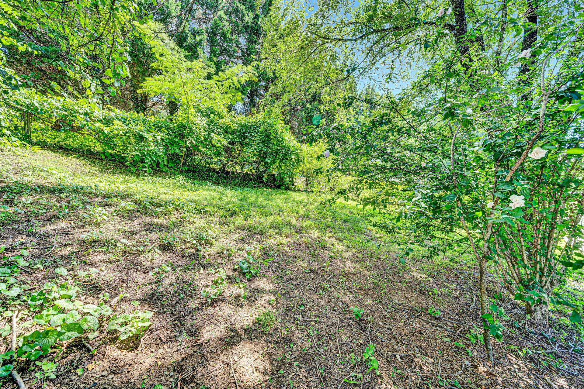 1521 Church AVE - Photo 24