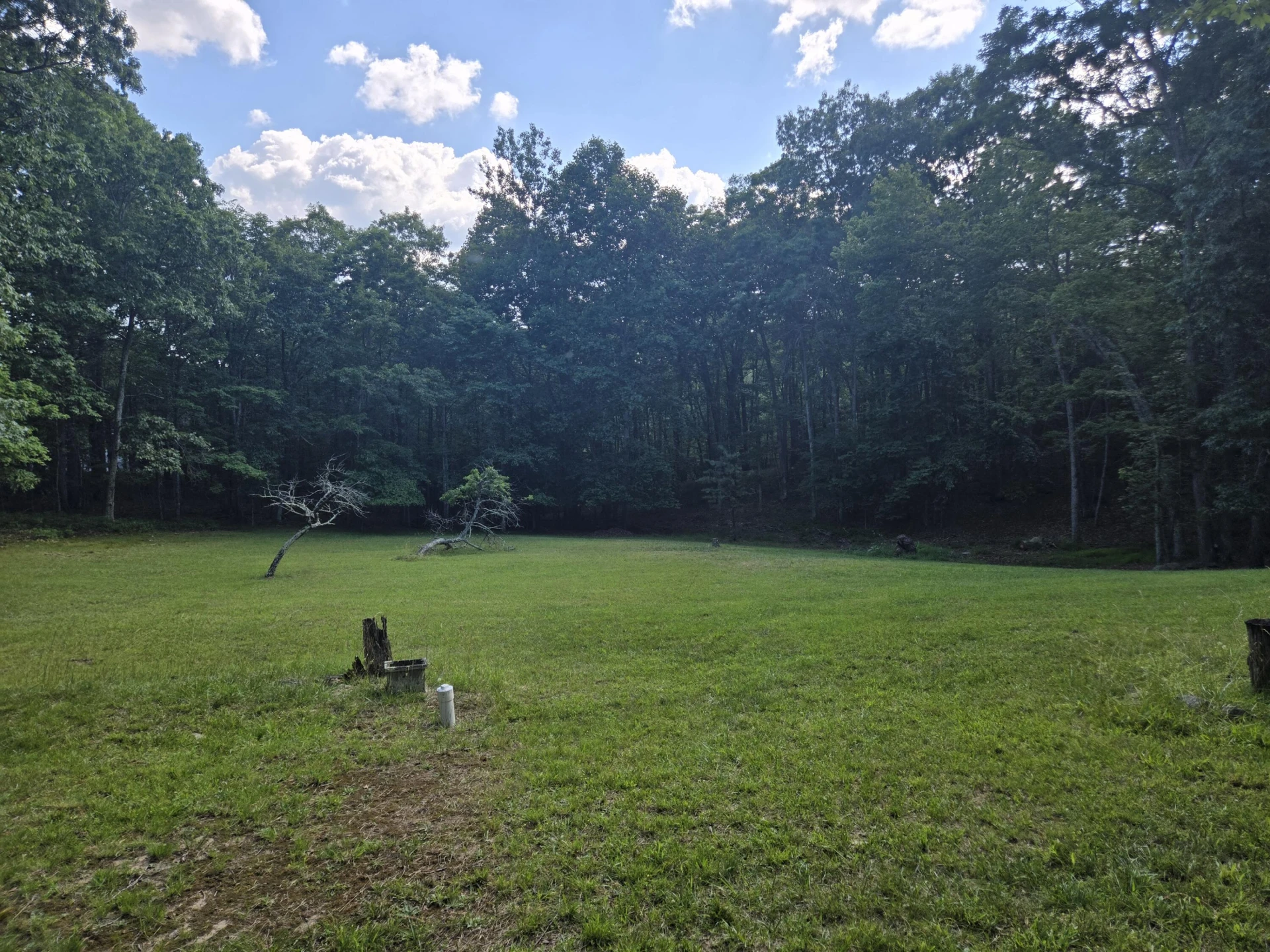 4489 Preston Forest DR - Photo 19