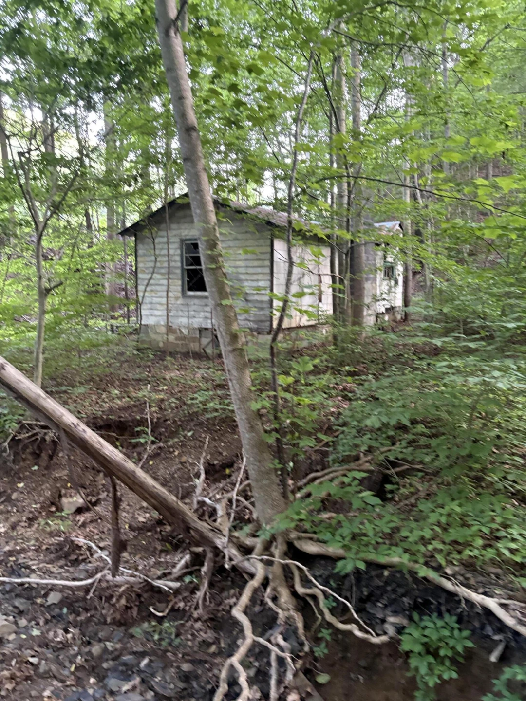 1604 Hoke RD - Photo 2